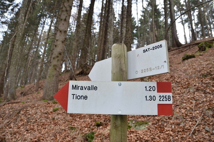 O225B-ldo012-00-d01-170110-bivioaltoPizeBuse-ED