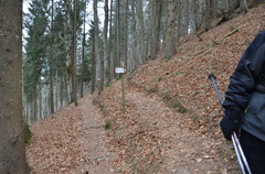 O225B-ldo012-00-p01-170110-bivioaltoPizeBuse-ED