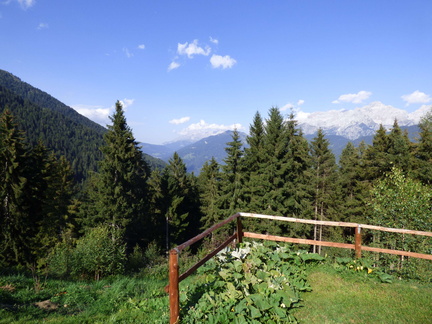 O231-170825-DR-Stablo-004