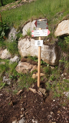 O244-ldp001-05-d2-220607-DR