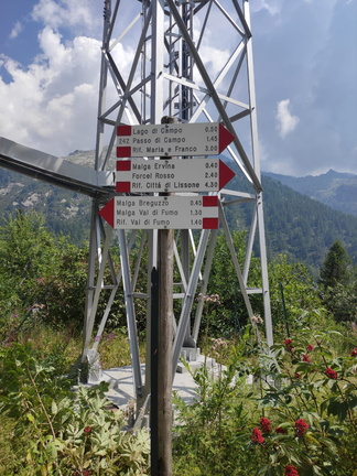 O245-ldp002-d01-250814-MS (6 visite) O245-ldp002-d01-250814-MS