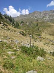 O245-ldp003-p02-250814-MS