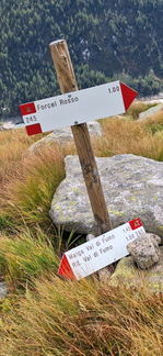 O245-ldp005-00-d01-20240929-CR