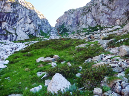 O249B-170503-GP-P1010406