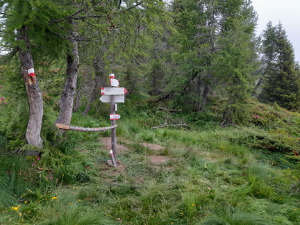 O251-ldp003-00-p02-230720-GV