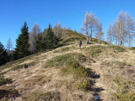 O251-17-verso-Cima-Pissola-160806-CC