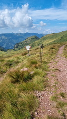 O259-ldp007-01-p02-270824-IB