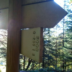 O260-ldp001-00-d04-161007-MCF-081559