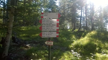 O301-ldp003-00-d1-MCF-160628