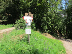 O313-ldp008-00-p1-160629-CC