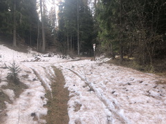 O313B-ldp005-00-p01-231119-ED