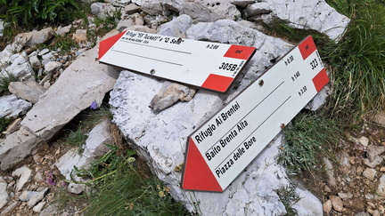 O323-ldp010-00-d02-20250804-CR