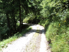 O325-ldp002-01-p01-160624-MP