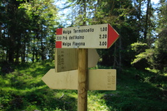 O330-ldp008-00-d2-td-160709