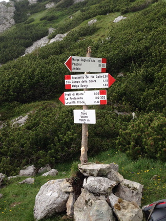 O353-ldp003-00-d1-td-1506128 (19 visite) O353-ldp003-00-d1-td-1506128