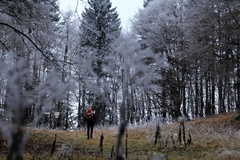 O356B-161129-td-7576