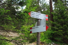 O370-ldp001-00-d1-td-160709