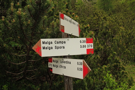 O370-ldp003-00-d1-td-160709