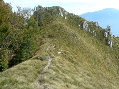 O417A-ldp012-00-p01-170928-CC-0815