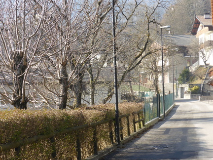 O424-170112-RF-P1020447