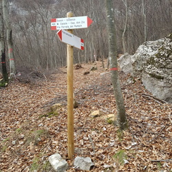 Settore Ovest 4