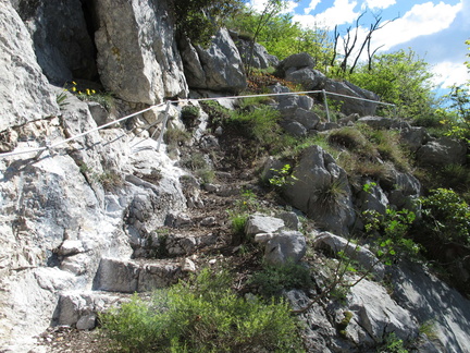 O429A-1404715-LB-6022