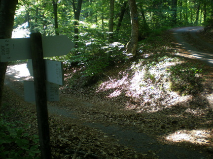 O433-ldp004-00-p1-170721-EDI-P1010203