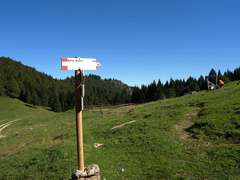 O433-ldp009-00-p3-160906-GCP-4785