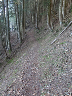 O449A-161202-LB-2049