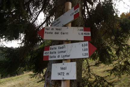 O452-ldp003-00-d2-171007-td-6890-2