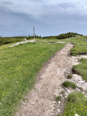 O500-ldp022-00-p01-250616-AM