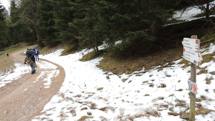 O500-ldp029-01-p1-170507