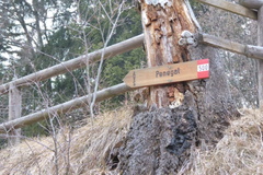 O500-AVS-ldp041-01-p01-171226-IC