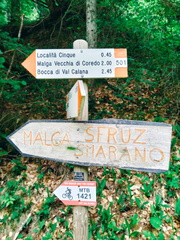 O501-ldp003-00-d01-250607-AM