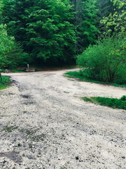 O501-ldp003-00-p01-250607-AM