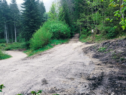 O501-ldp004-00-p01-250607-AM