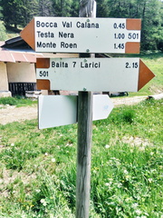 O501-ldp007-00-d02-250609-AM