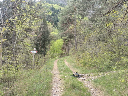 O507-ldp012-00-p01-240429-MZ