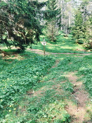 O525-ldp001-01-p01-250607-AM