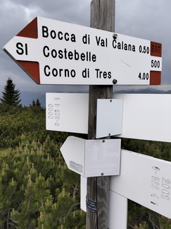 O528-ldp004-00-d02-250616-AM