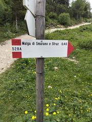 O528A-ldp001-00-d02-250616-AM