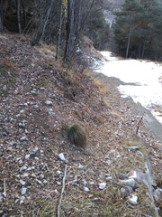 discesaversocenrtalesunovella9