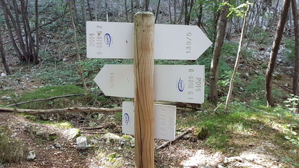 O601B-ldp006-00-d02-180927-GP