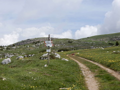 O602-ldp016-00-p02-180610-GT