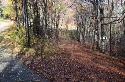 O602B-ldp001-02-p01-181112-ED