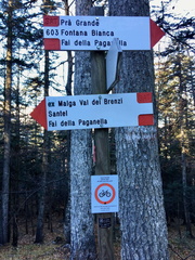 O603-ldp010-00-d01-181203-ED