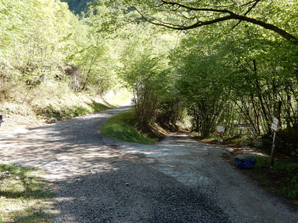 O613-ldp003-00-p3-170502-GT