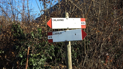 O619-ldp001-50-d1-161230-GT