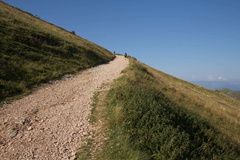 O633-02-q1700-170731-td