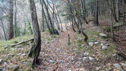 O645-05-161220-ED-03708